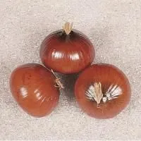 w7voqre1axdfcvc8r7pyk6i4a7b9drrp