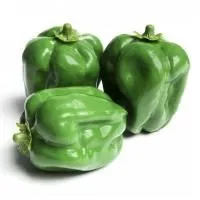 bko05osv6eyx7pz3jli4csn0xsrptxyr