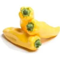 fnbgahmu1i58gnedy3sa2x0xa62epv5g