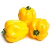 xr6hydujgli8qeisnqu7ro9fqm8re84r