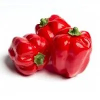 22f1aoccg0p9my0sf3gs5hg7i41r81pk