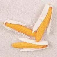 f3022bzt6t3zypq71lgro3yd648w25a2