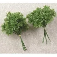 sw411i98bu7bdkquwrmjnu3d5rh4ornx