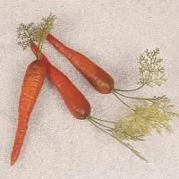 910vquhehm7xq9xyoecido2n0l64l492