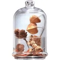 71evqhag908rlvusb2zewfx9k19lw952