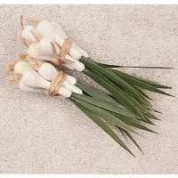 woxbto7pebifh3yr64wqgndletvvo9bx